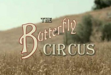 the-butterfly-circus