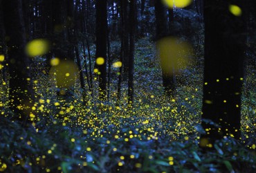 Tsuneaki-Hiramatsu_2