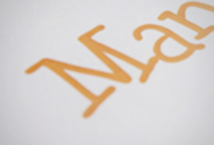 Creazione Logo Mant To Team