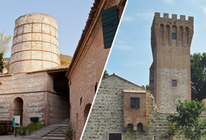 Sito Internet Musei Colli Euganei