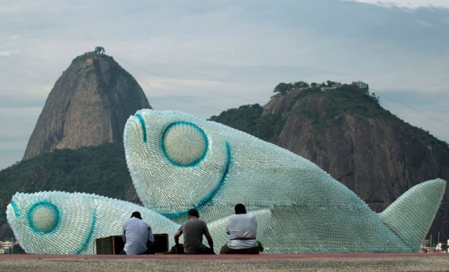 fish-2-640x387