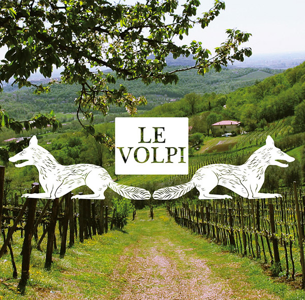 Vendemmia – Le Volpi