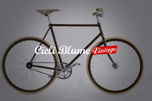 siti-internet-cicli-blume - Studio 7AM Studio Grafico Padova