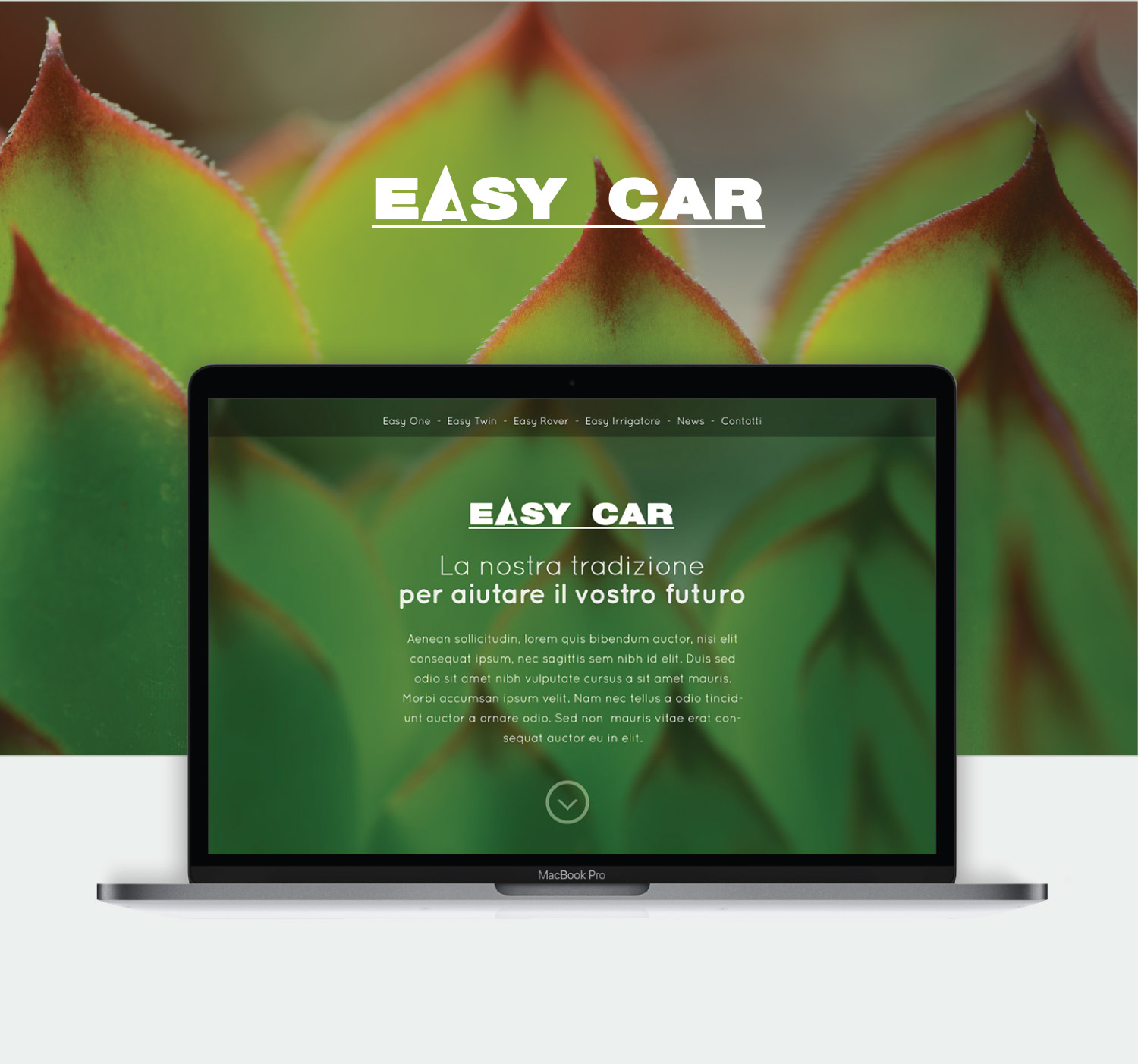 01_creazione_website_aziendale_studio_padova_easycar