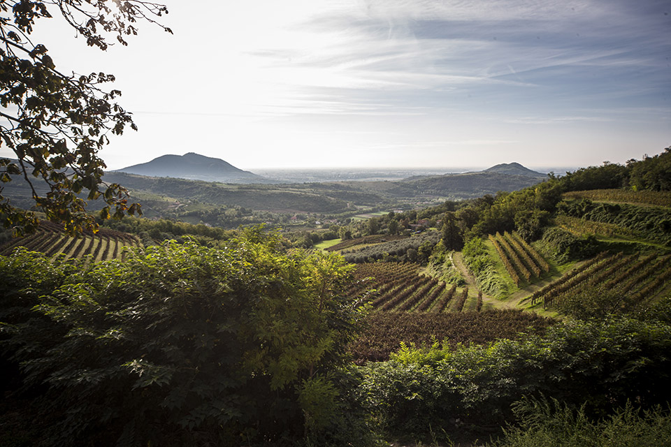 11-fotografia-azienda-agricola