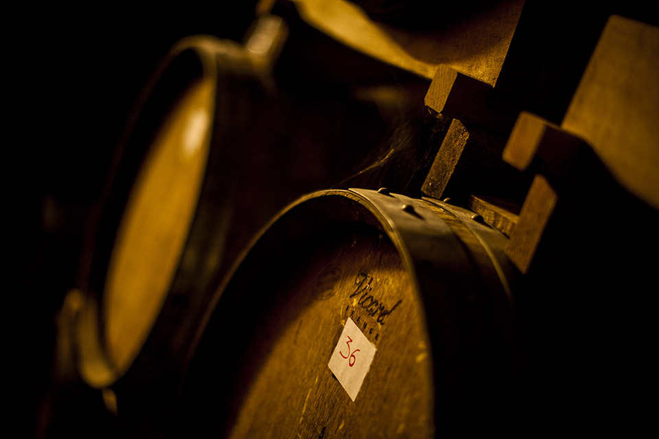 13-reportage-azienda-agricola