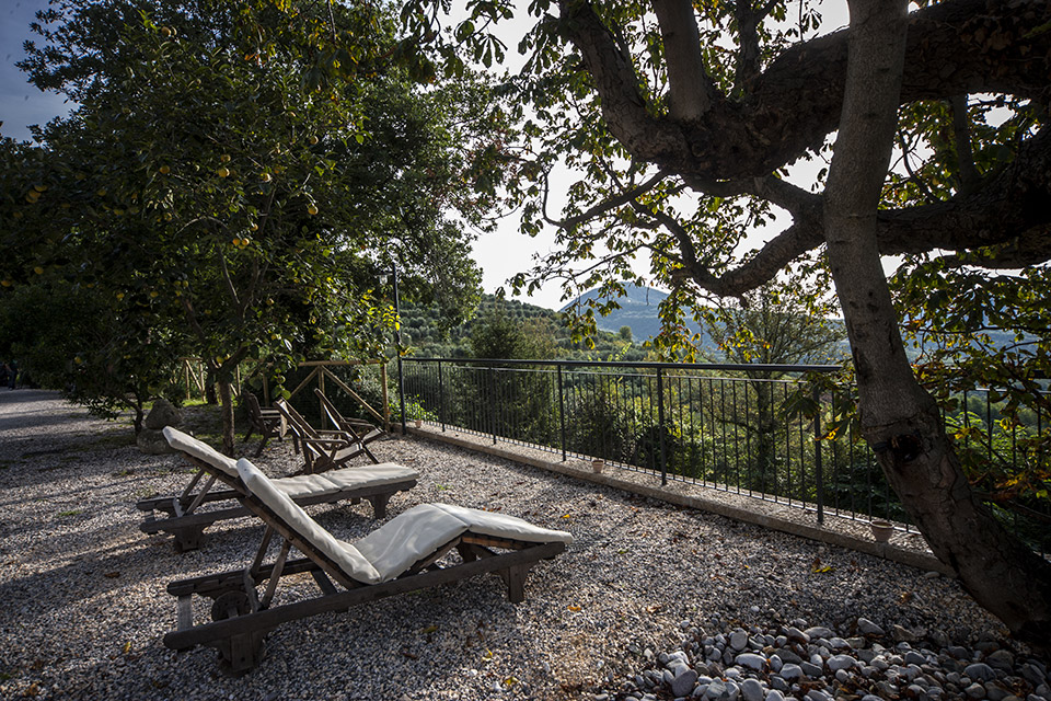 27-reportage-per-societa-agricola