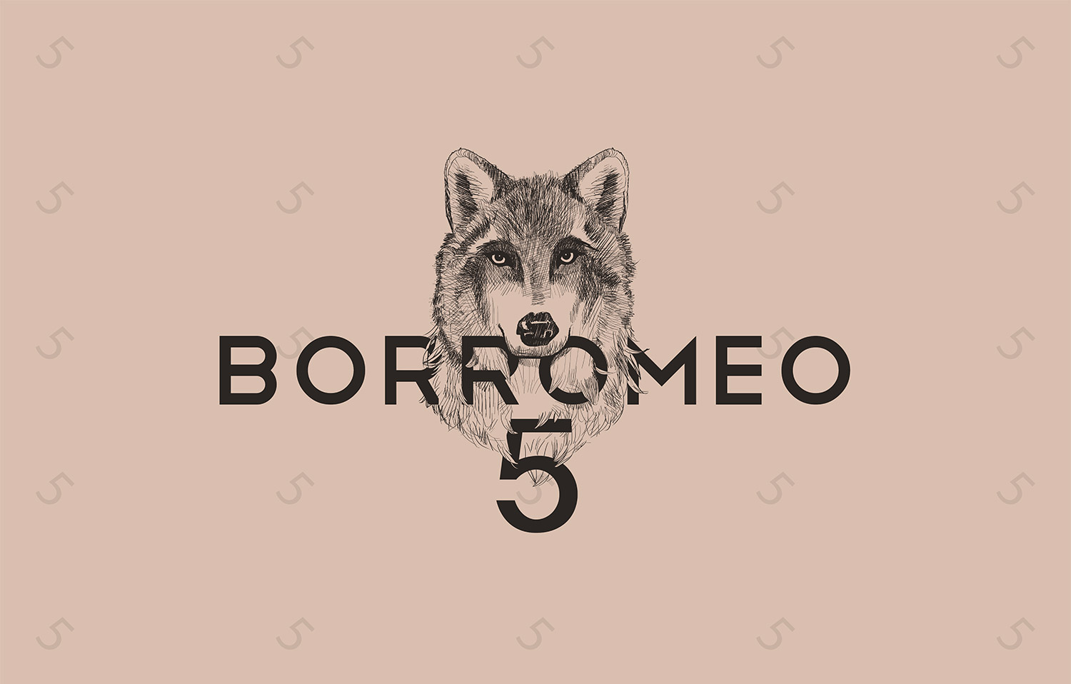 01-creazione-logo-Borromeo