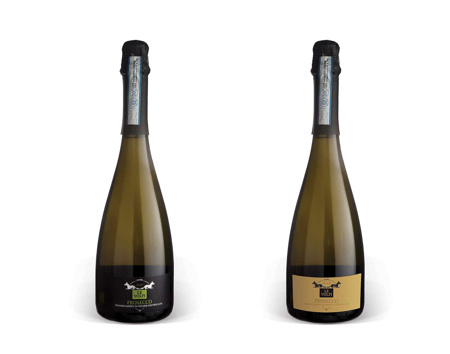 04-Shooting_vini_le_Volpi