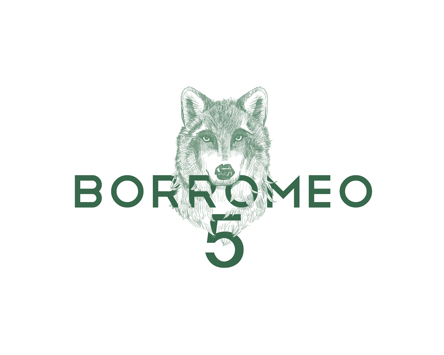 09-creazione-logo-aziendale-padova-borromeo