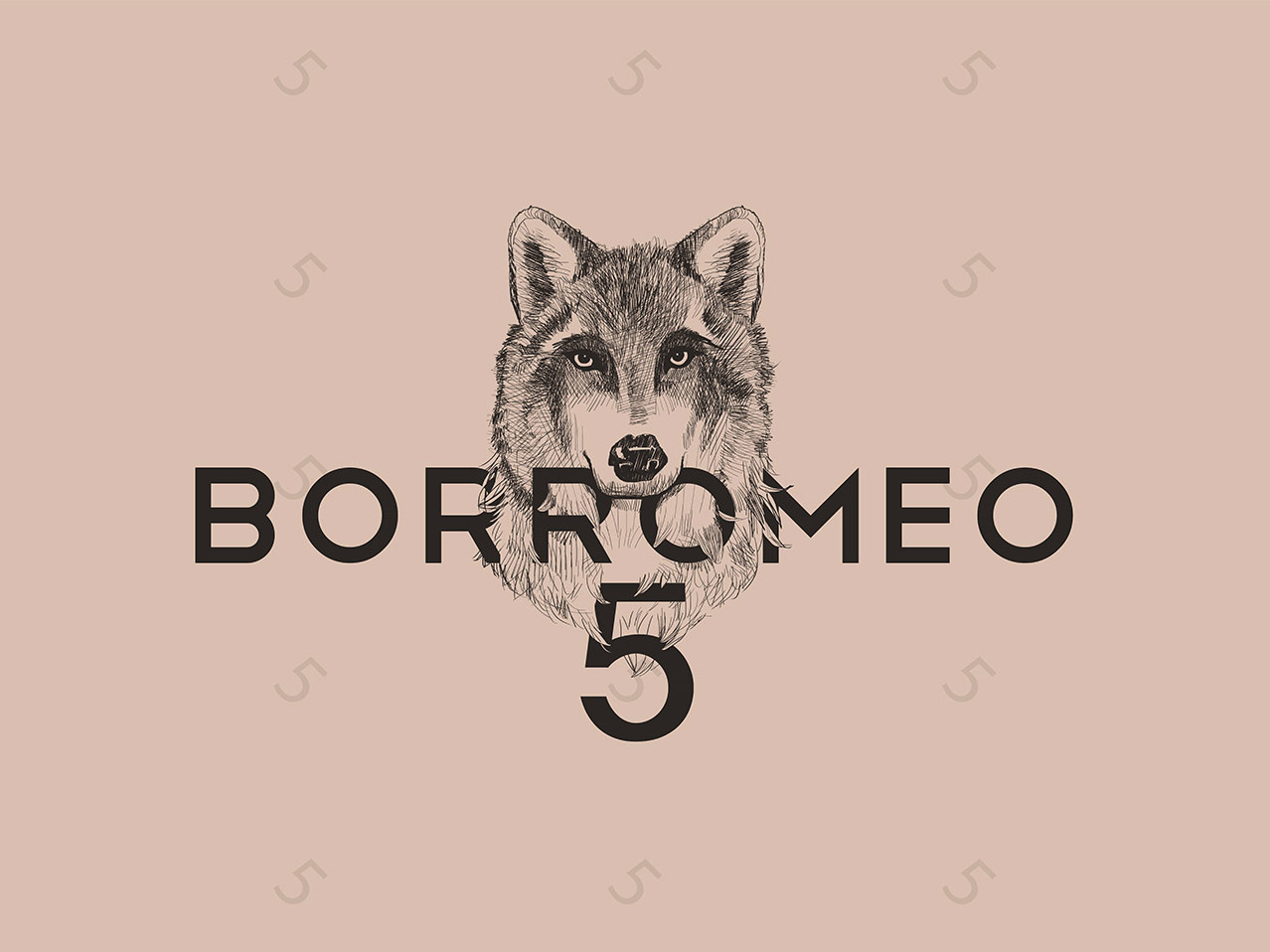 Creazione logo per negozio abbigliamento