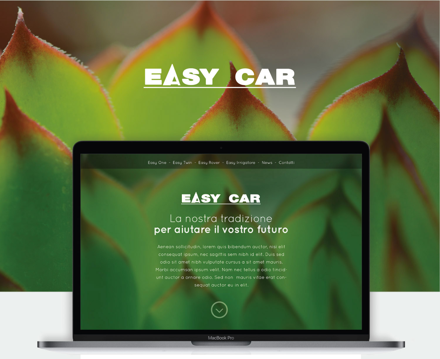 Sito Web aziendale