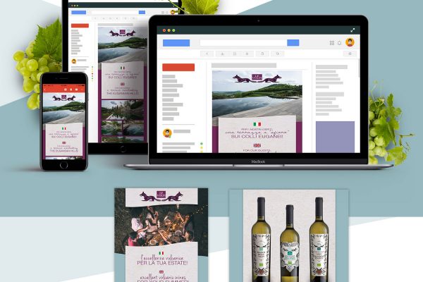 01-newsletter-levolpi